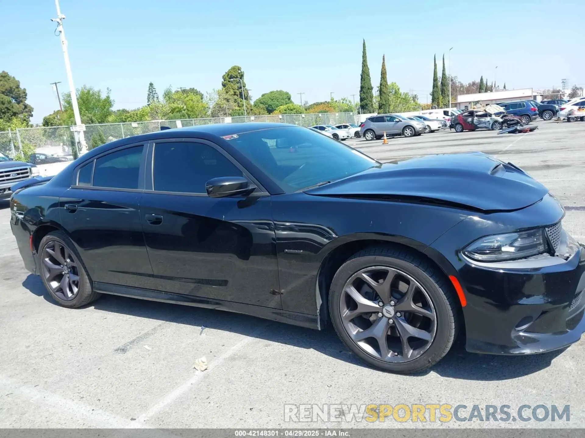 13 Photograph of a damaged car 2C3CDXCTXKH598035 DODGE CHARGER 2019