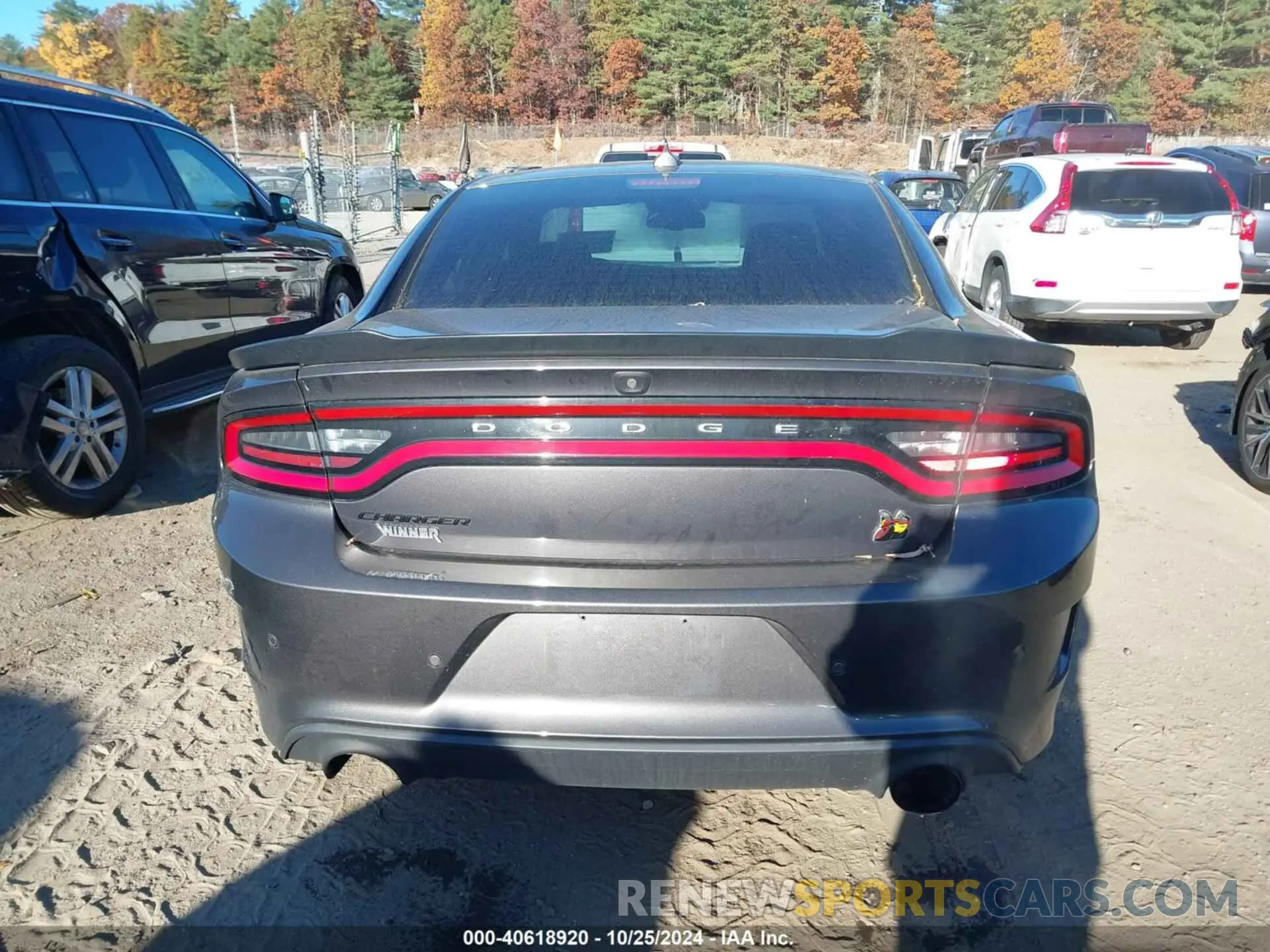 16 Фотография поврежденного автомобиля 2C3CDXGJ4KH658934 DODGE CHARGER 2019