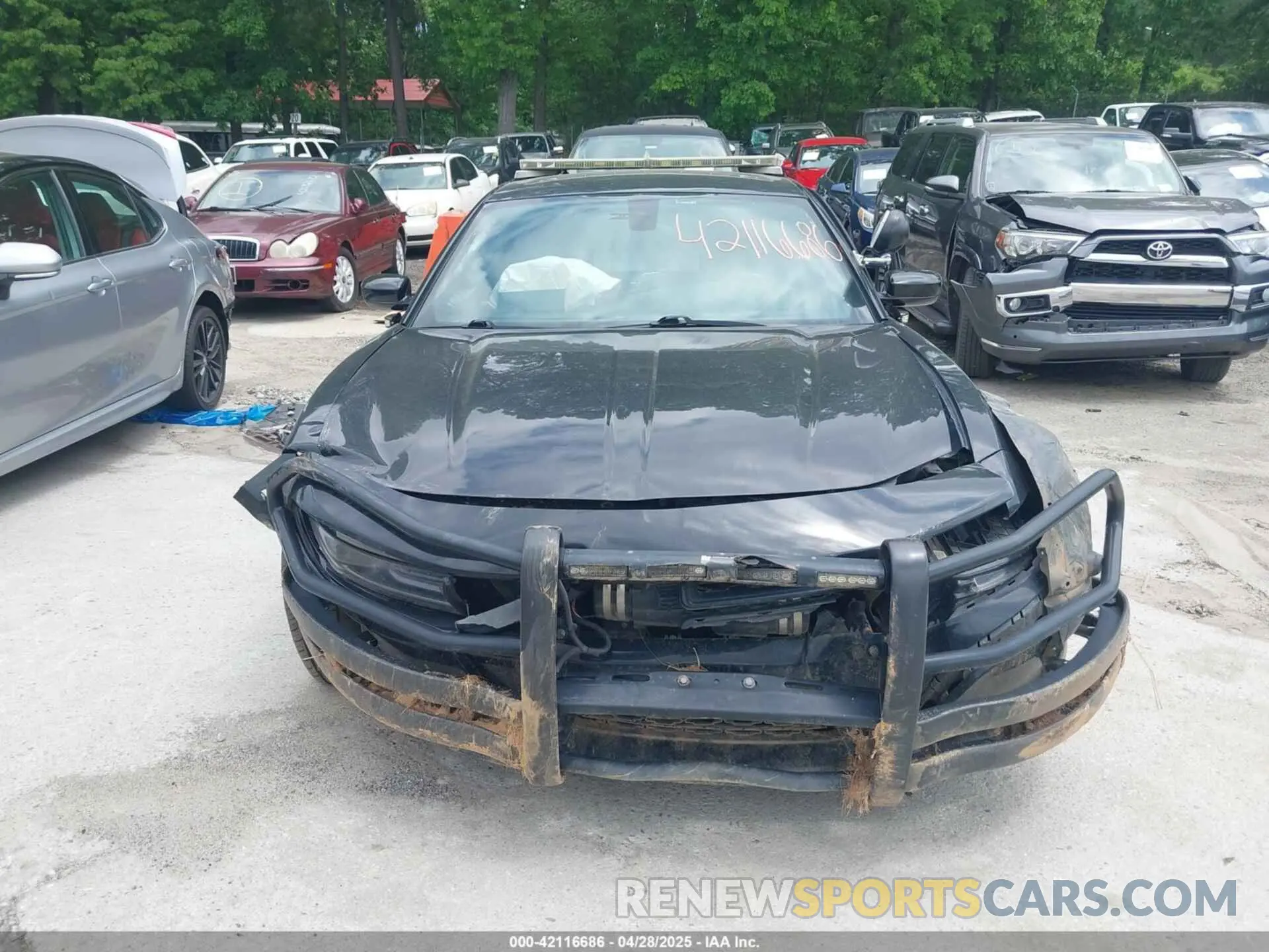 12 Фотография поврежденного автомобиля 2C3CDXKT5KH743080 DODGE CHARGER 2019