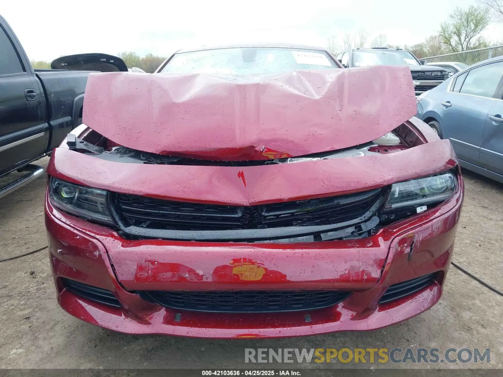 12 Фотография поврежденного автомобиля 2C3CDXBG9PH659726 DODGE CHARGER 2023