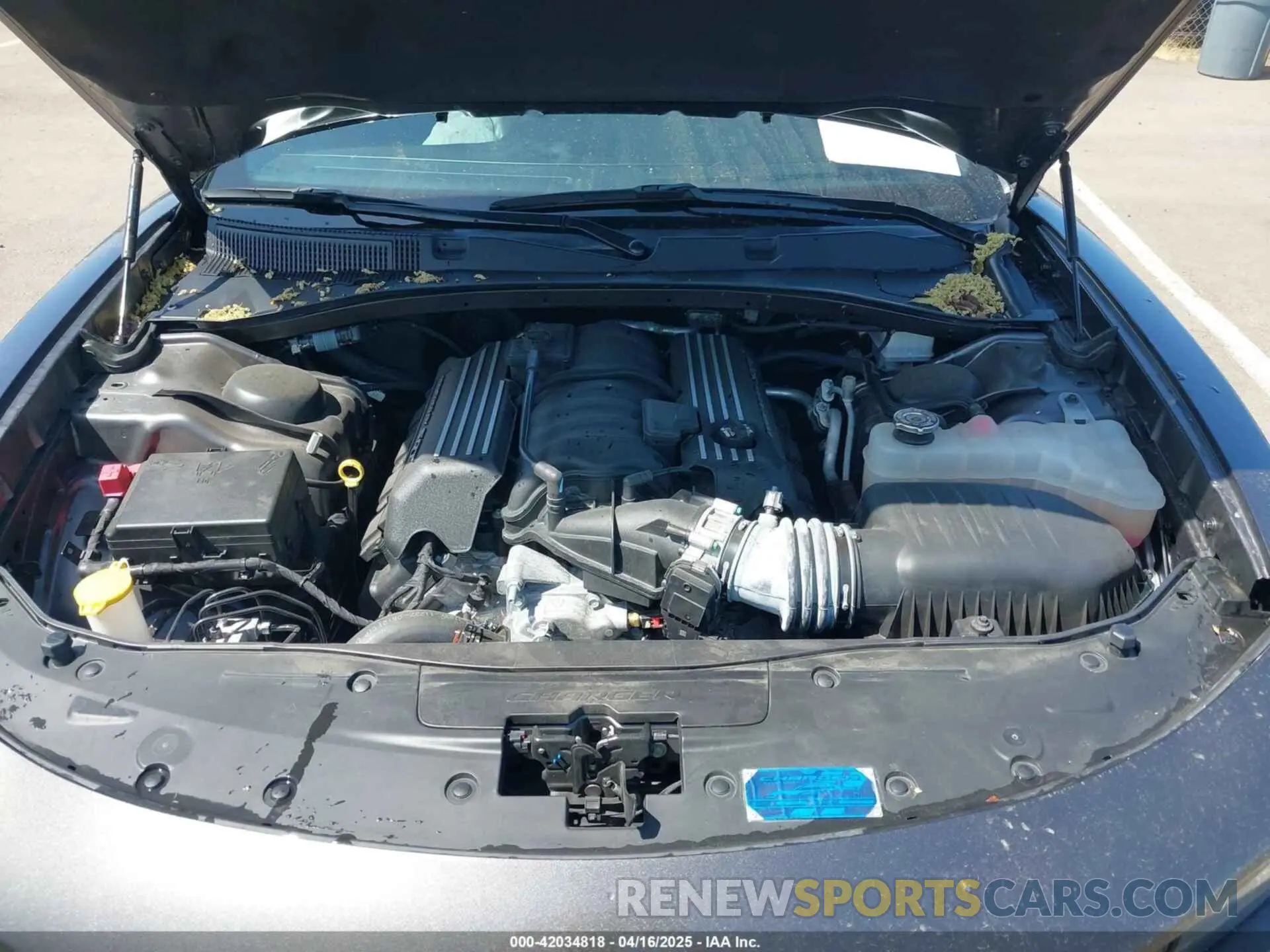 10 Photograph of a damaged car 2C3CDXGJ1PH698881 DODGE CHARGER 2023