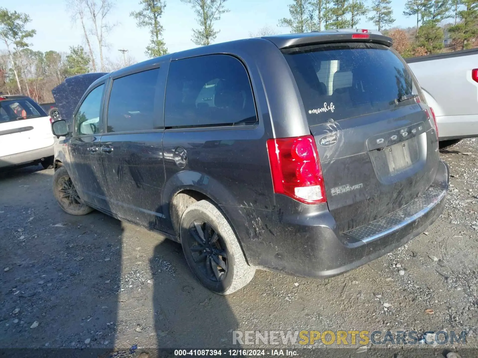 3 Фотография поврежденного автомобиля 2C4RDGEG5LR204555 DODGE GRAND CARAVAN 2020