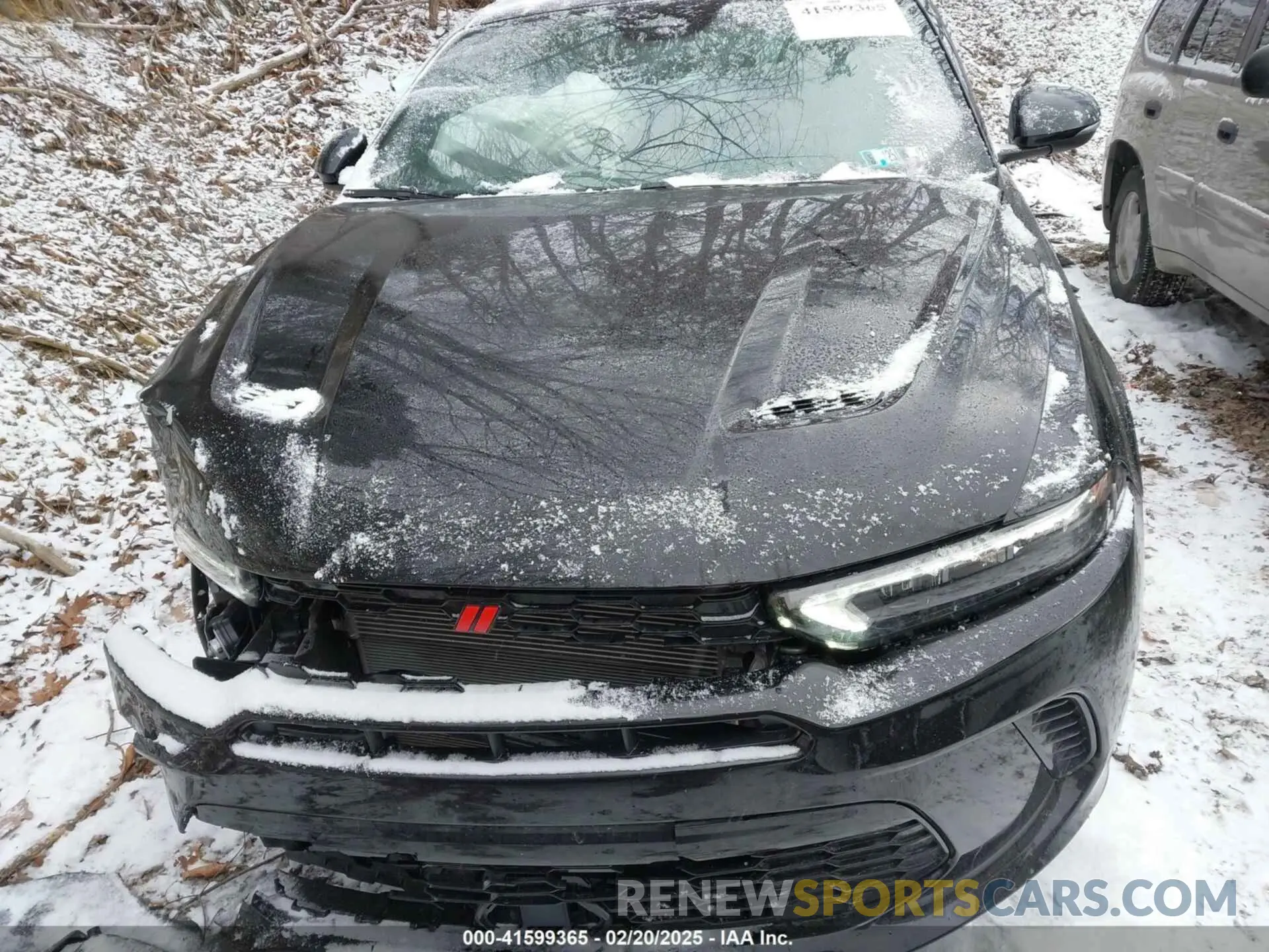 12 Photograph of a damaged car ZACNDFAN6R3A38323 DODGE HORNET 2024
