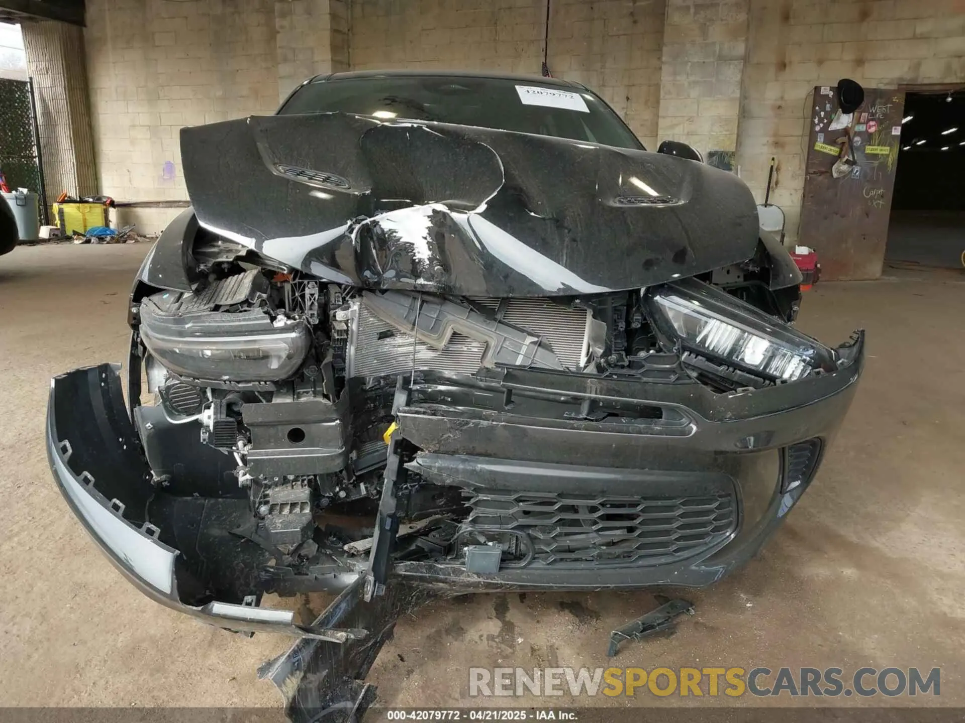 12 Photograph of a damaged car ZACPDFDWXR3A22350 DODGE HORNET 2024
