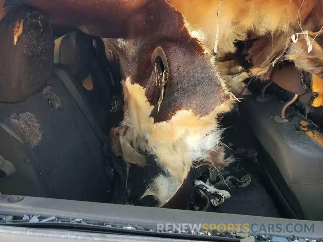 12 Photograph of a damaged car 3C4PDCAB4LT253818 DODGE JOURNEY 2020