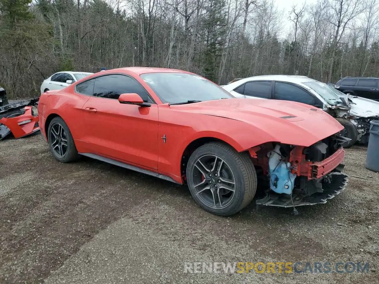 4 Photograph of a damaged car 1FA6P8TH0K5160008 FORD ALL Models 2019