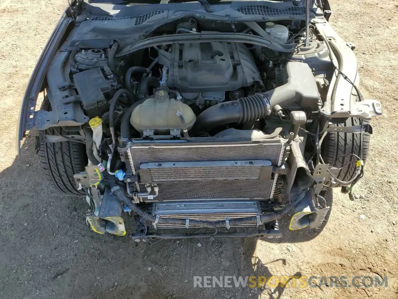 13 Photograph of a damaged car 1FA6P8TH1K5123405 FORD ALL Models 2019