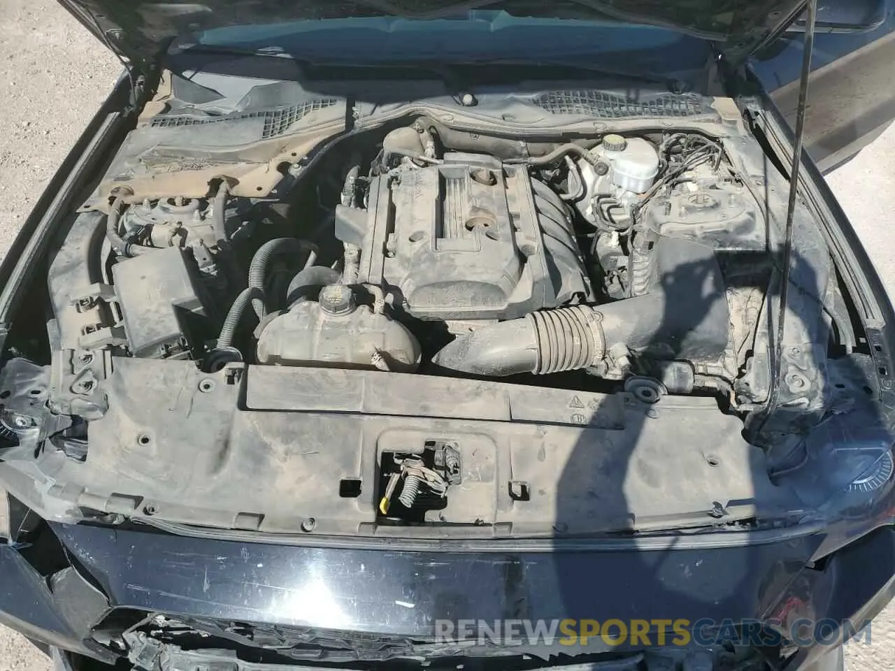 13 Photograph of a damaged car 1FA6P8TH2K5112042 FORD ALL Models 2019