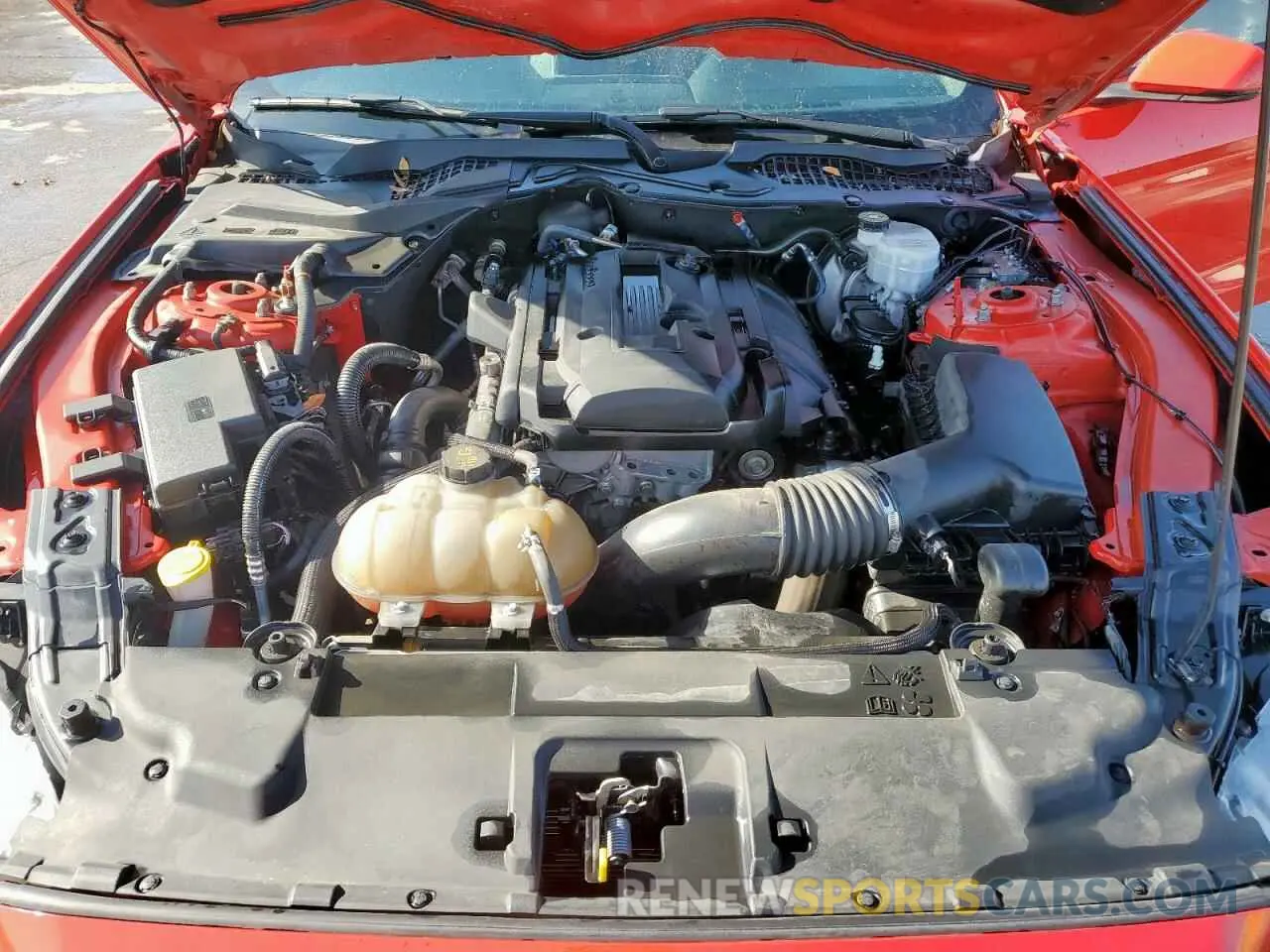 11 Photograph of a damaged car 1FA6P8TH3K5159743 FORD ALL Models 2019