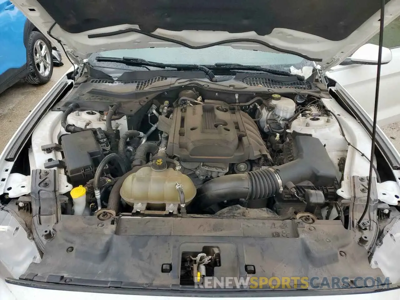 11 Photograph of a damaged car 1FA6P8TH4K5130459 FORD ALL Models 2019