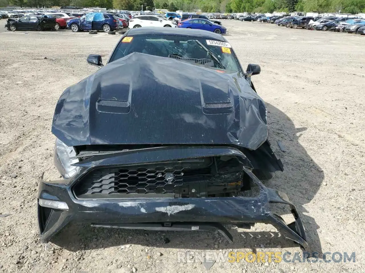 5 Photograph of a damaged car 1FA6P8TH6K5134433 FORD ALL Models 2019