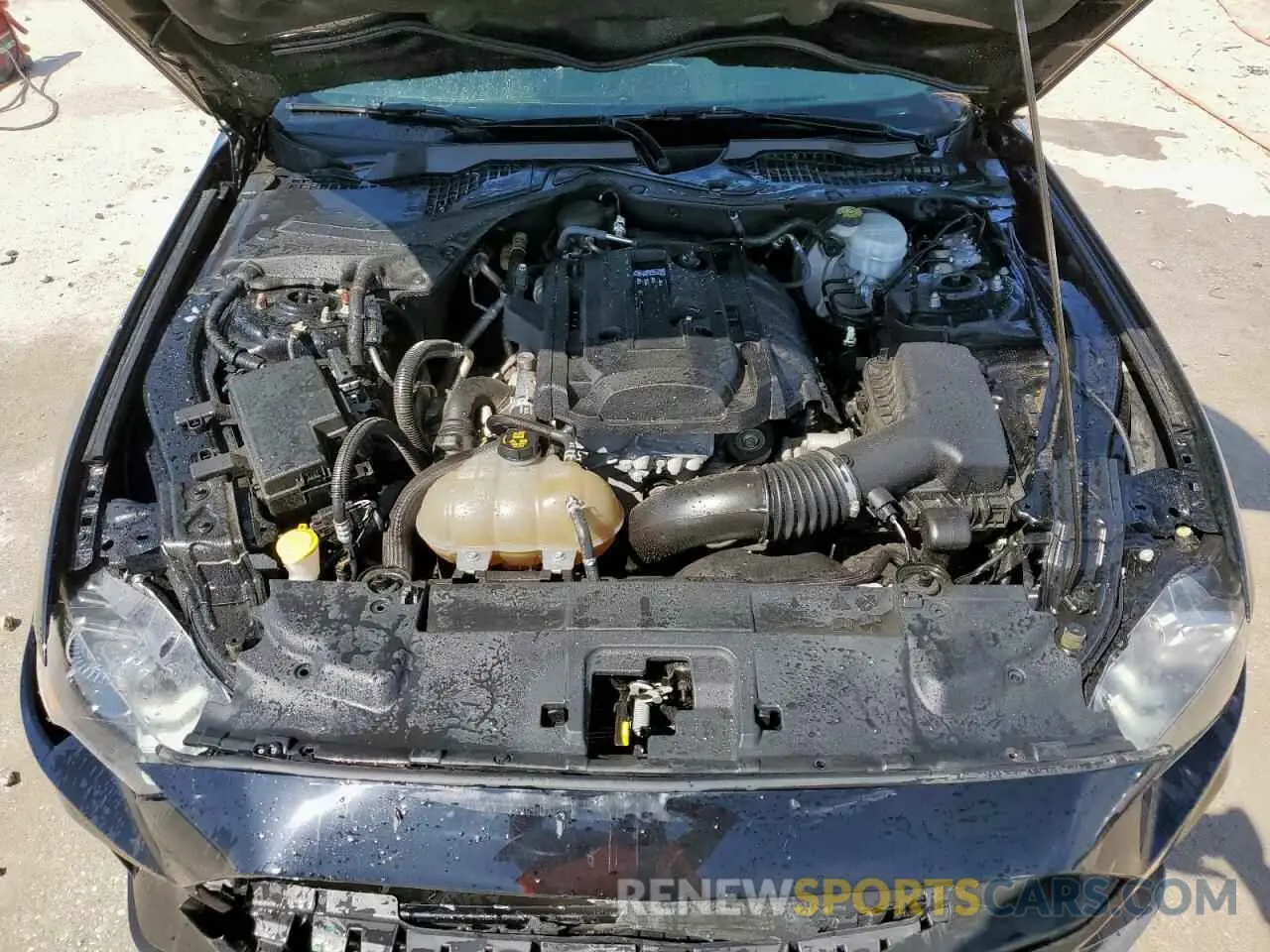 11 Photograph of a damaged car 1FA6P8TH8K5161214 FORD ALL Models 2019