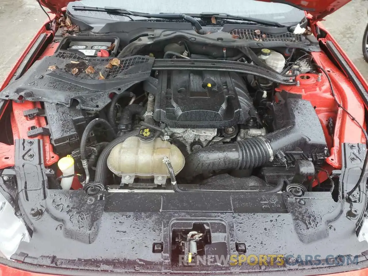 11 Photograph of a damaged car 1FA6P8TH9K5129744 FORD ALL Models 2019