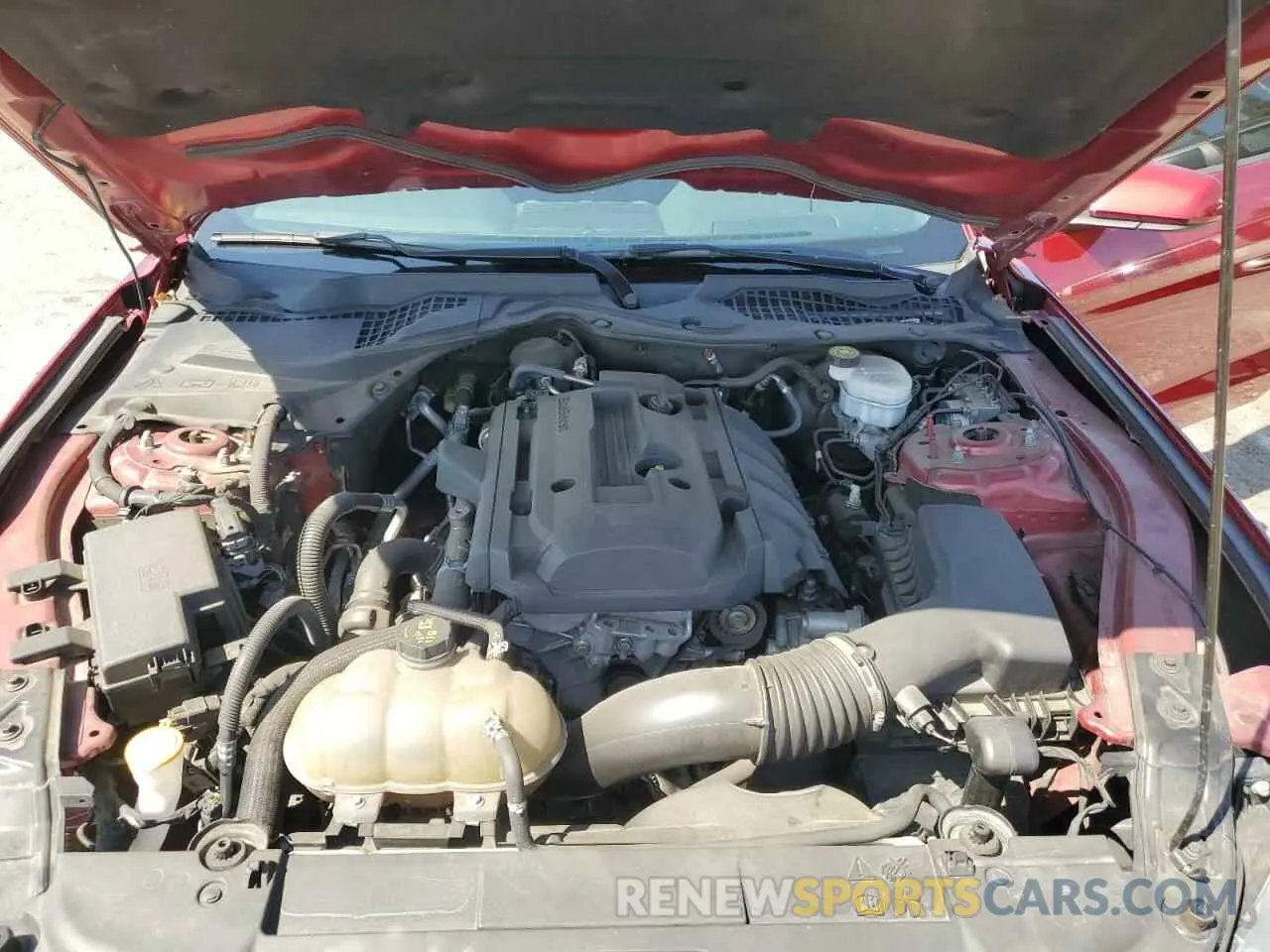 11 Photograph of a damaged car 1FA6P8TH9K5202496 FORD ALL Models 2019