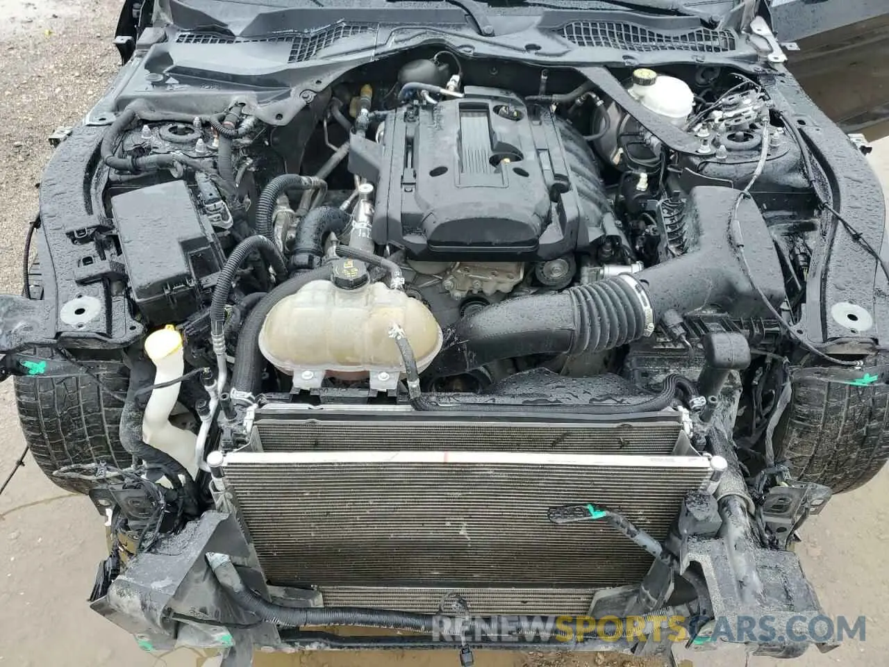 11 Фотография поврежденного автомобиля 1FATP8UH0K5150001 FORD ALL Models 2019