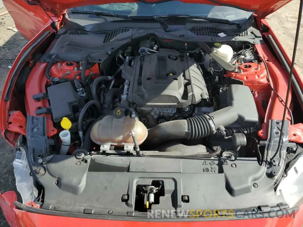 11 Photograph of a damaged car 1FATP8UH2K5109787 FORD ALL Models 2019