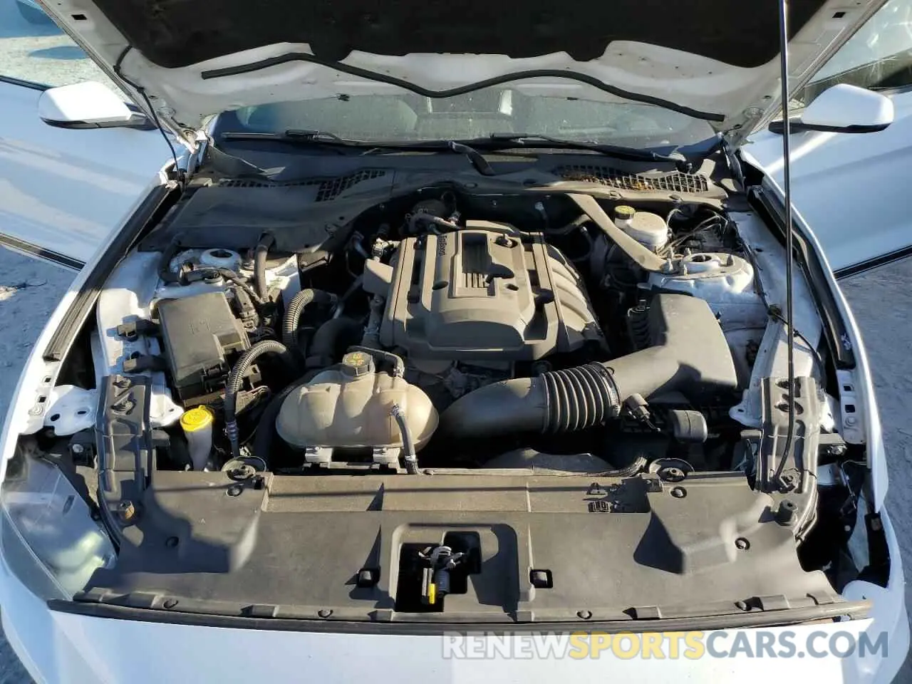 11 Photograph of a damaged car 1FATP8UH6K5131985 FORD ALL Models 2019