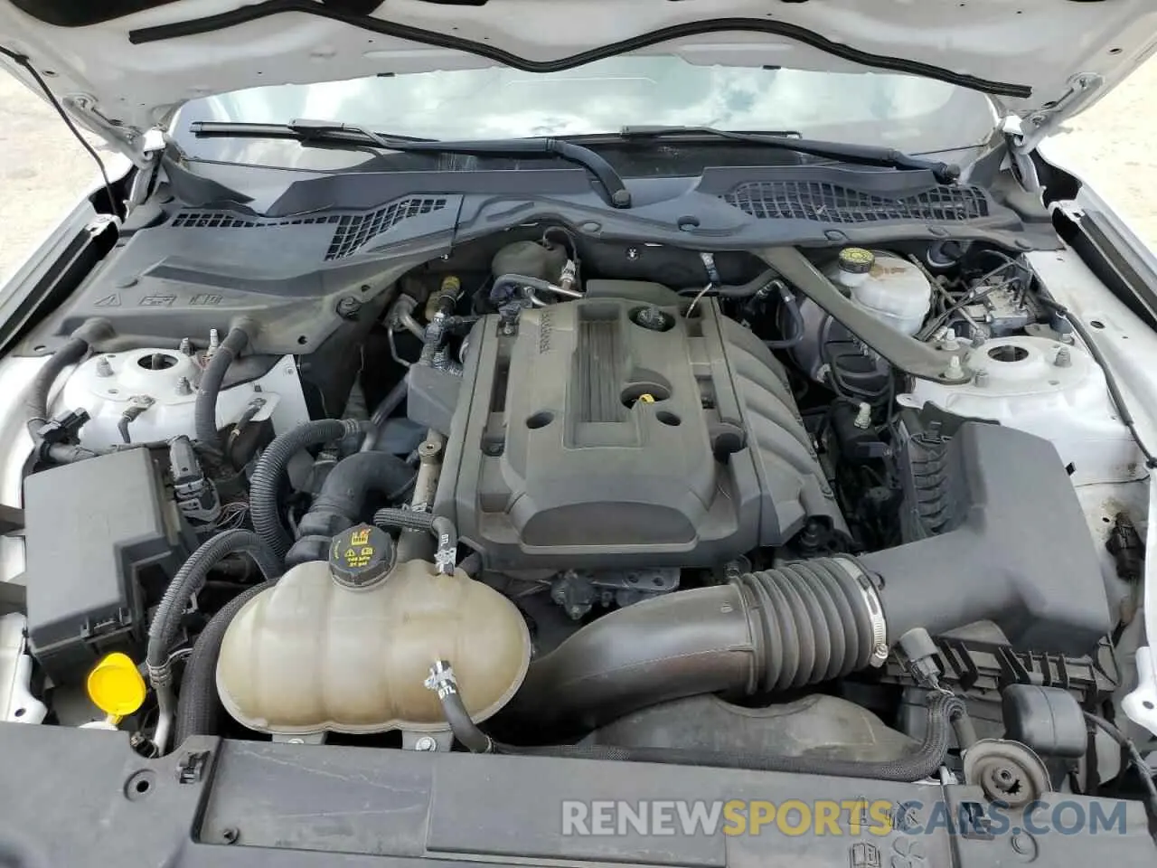 11 Photograph of a damaged car 1FATP8UH8K5158573 FORD ALL Models 2019
