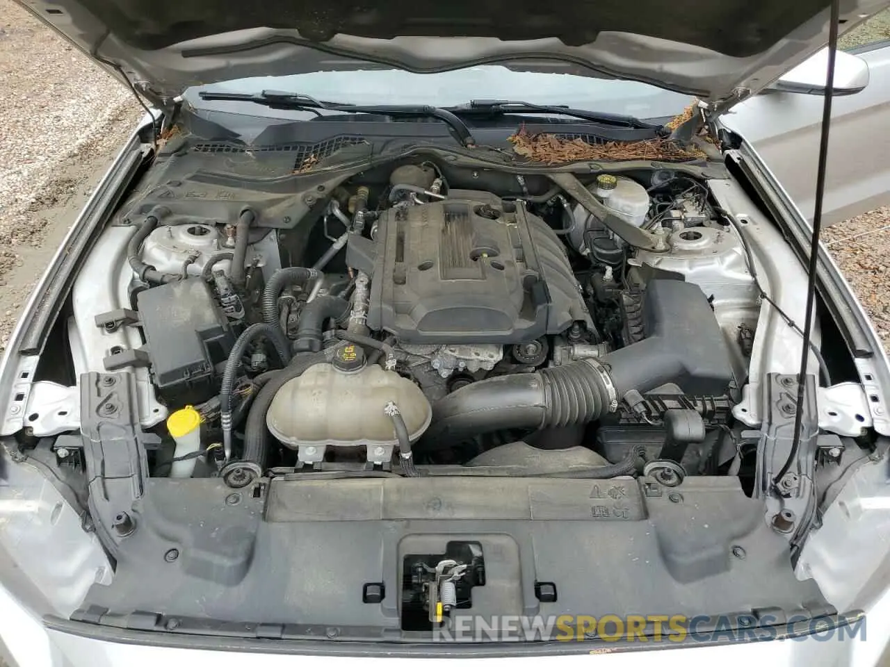 11 Photograph of a damaged car 1FATP8UH9K5115554 FORD ALL Models 2019