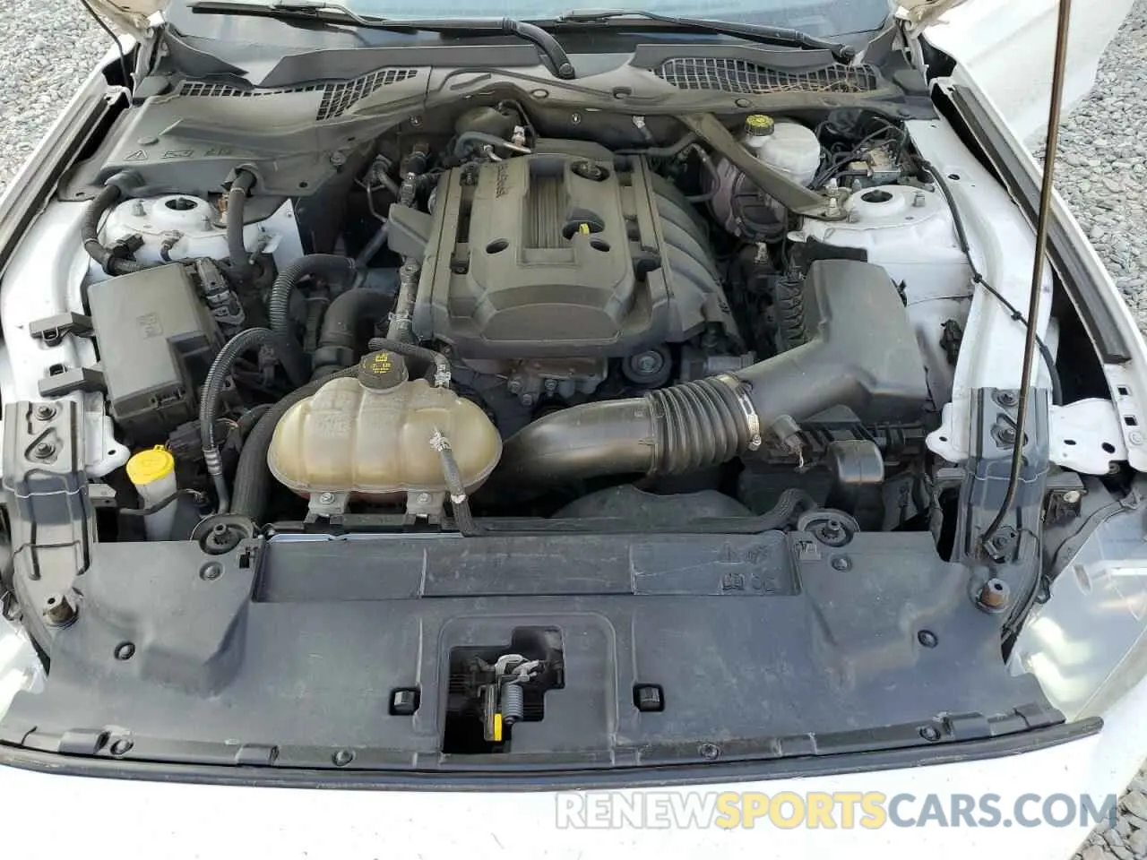 11 Photograph of a damaged car 1FATP8UHXK5138681 FORD ALL Models 2019