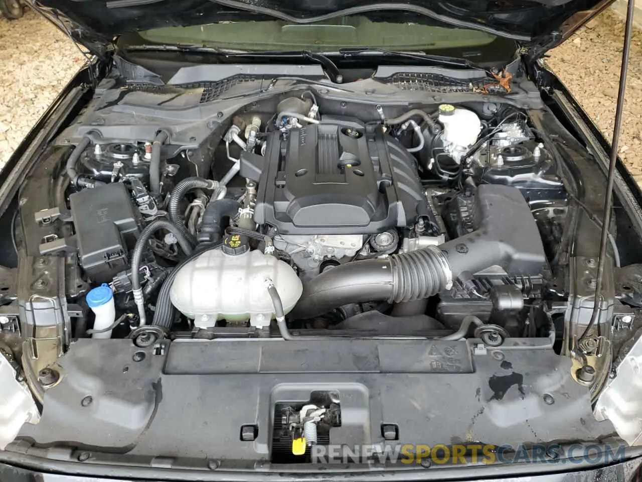 11 Фотография поврежденного автомобиля 1FA6P8TH2L5172095 FORD ALL Models 2020