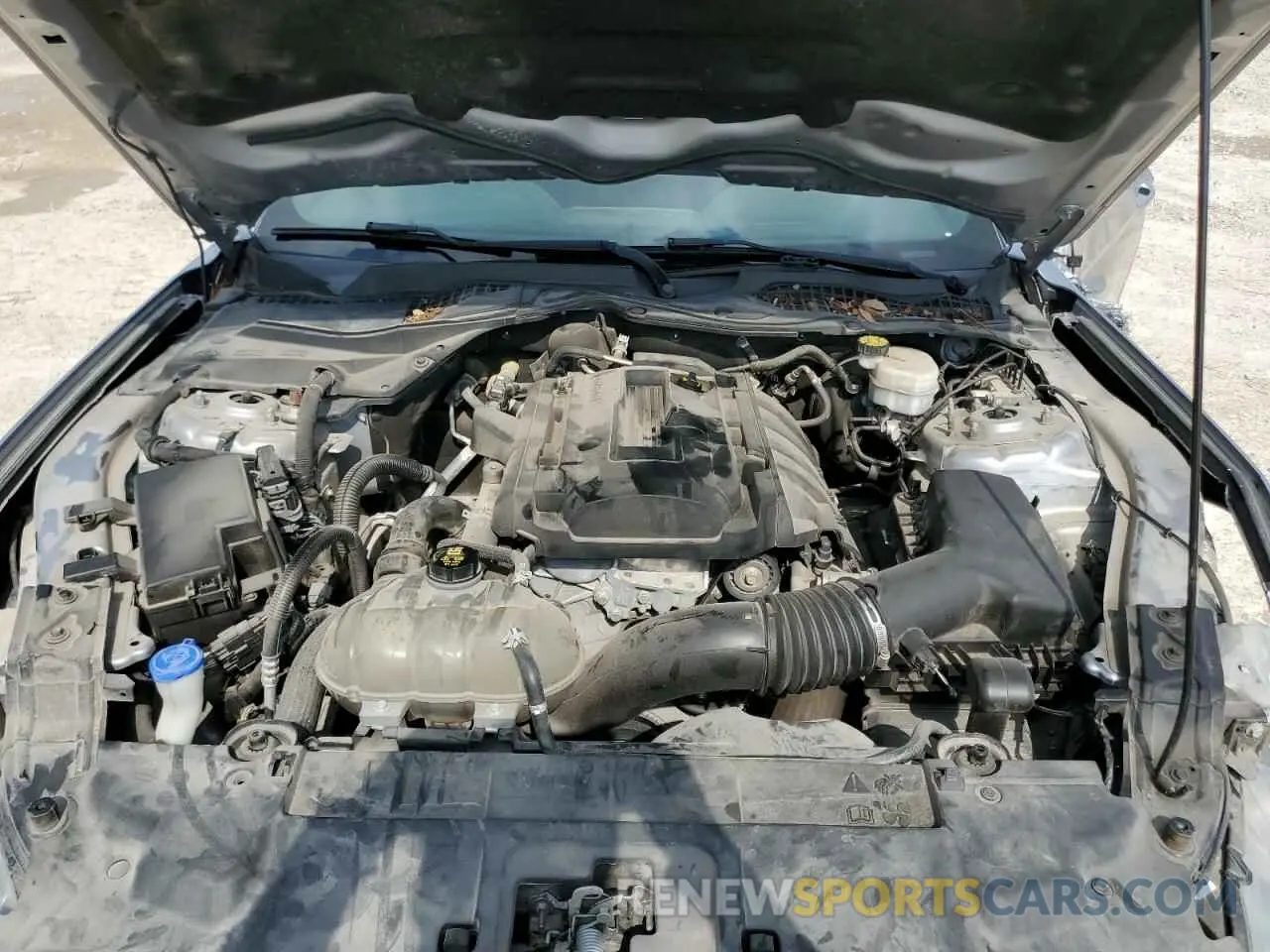 11 Photograph of a damaged car 1FA6P8TH5L5188016 FORD ALL Models 2020