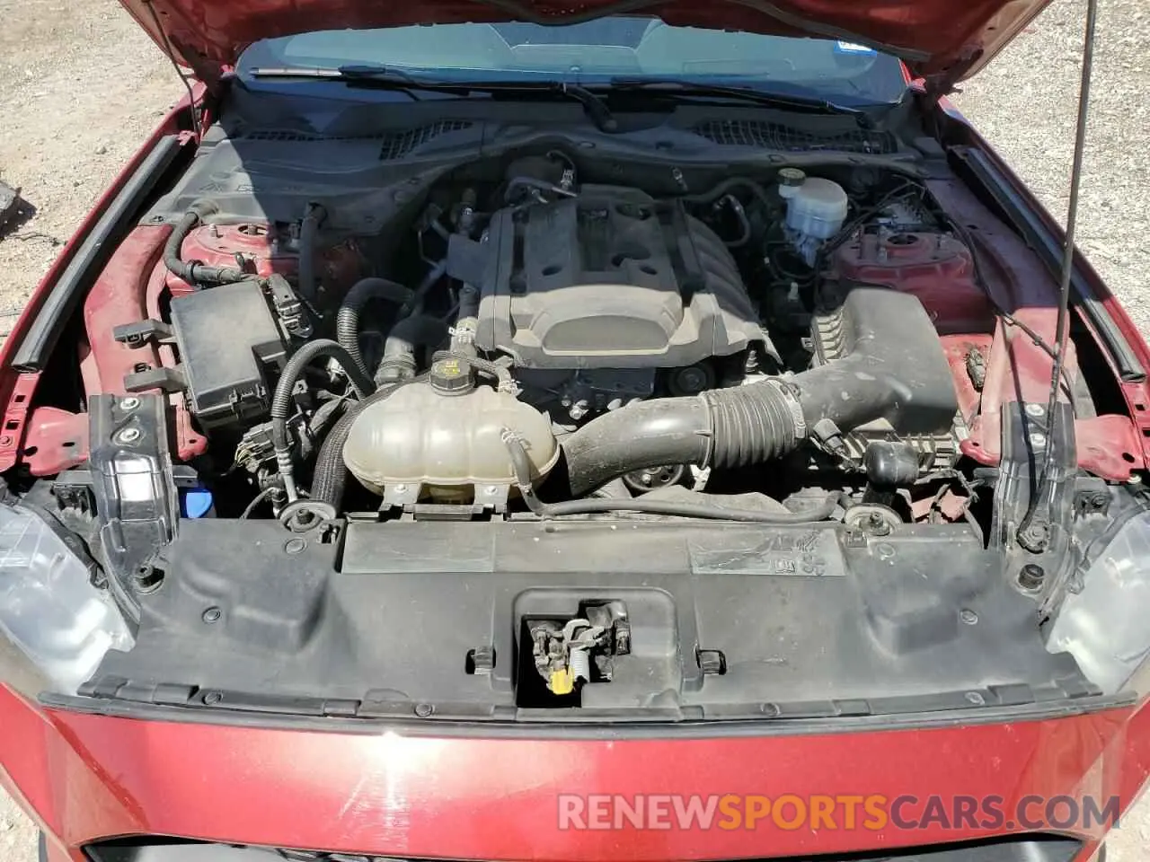 11 Фотография поврежденного автомобиля 1FA6P8THXL5135635 FORD ALL Models 2020
