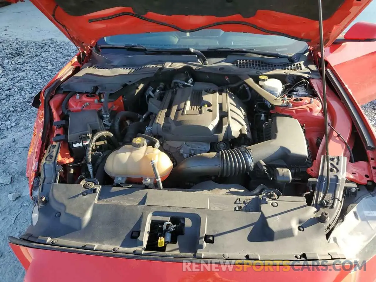 12 Фотография поврежденного автомобиля 1FATP8UH2L5126123 FORD ALL Models 2020