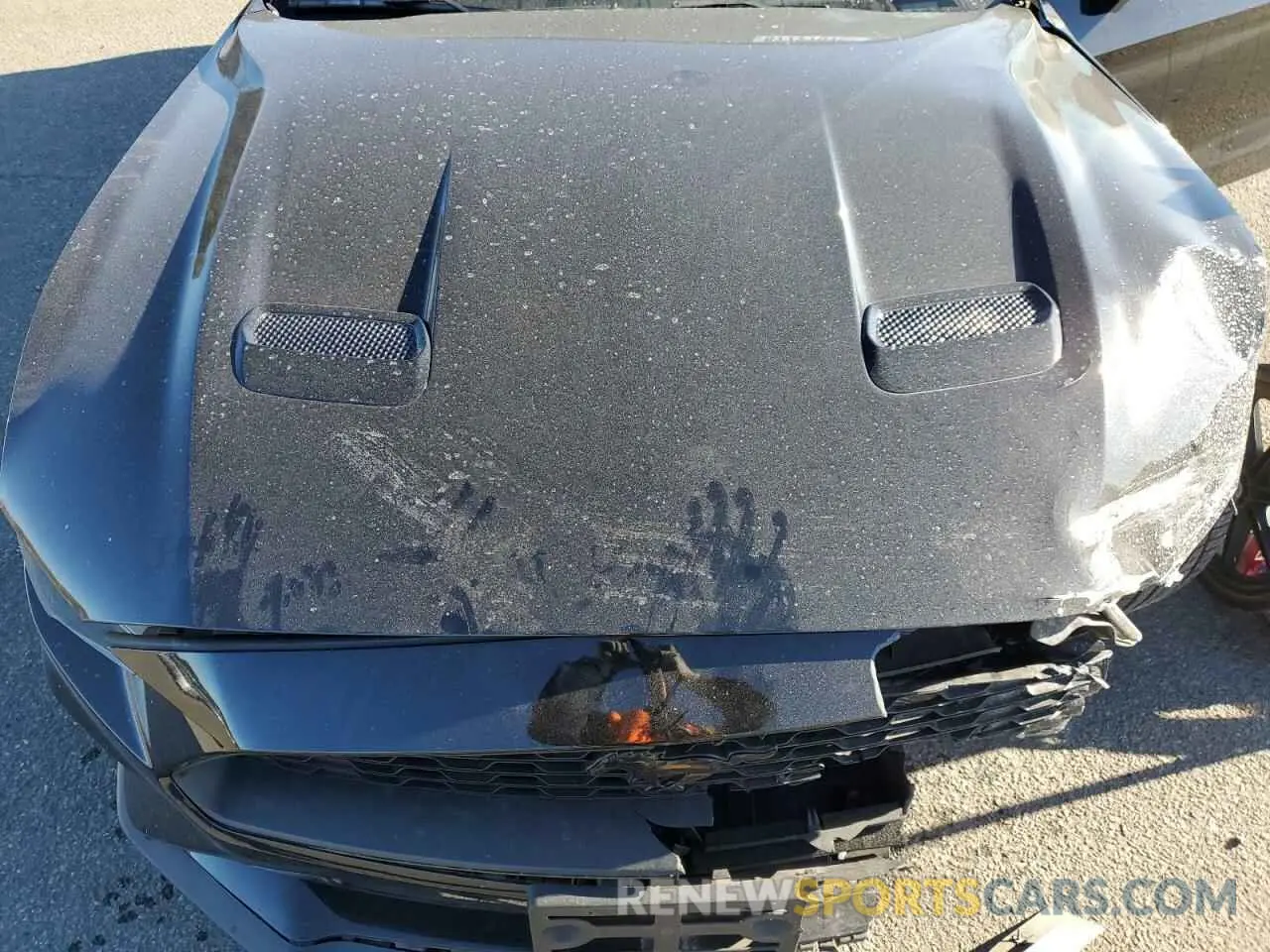 11 Photograph of a damaged car 1FATP8UH2M5129542 FORD ALL Models 2021