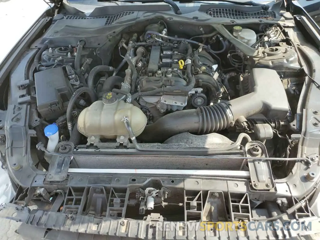 11 Фотография поврежденного автомобиля 1FATP8UH5M5120737 FORD ALL Models 2021