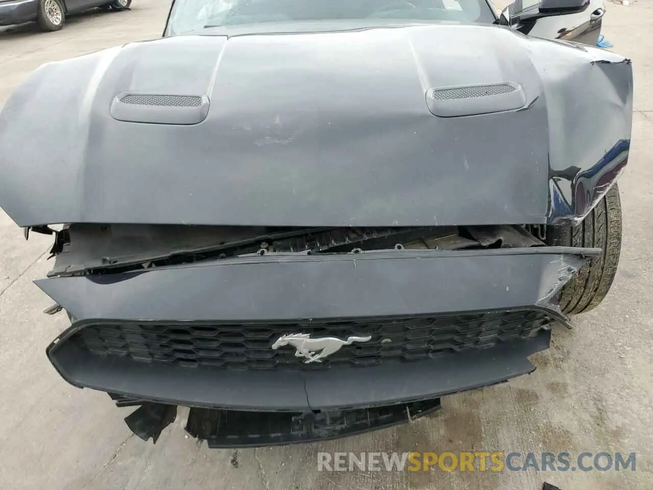 12 Photograph of a damaged car 1FATP8UH5M5124884 FORD ALL Models 2021