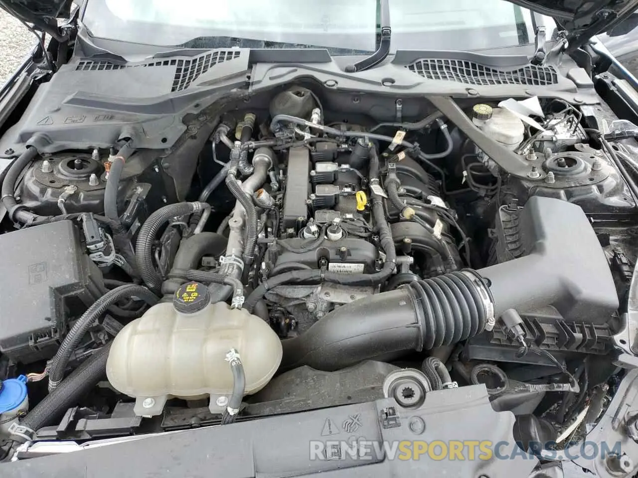 12 Фотография поврежденного автомобиля 1FATP8UH9M5155295 FORD ALL Models 2021