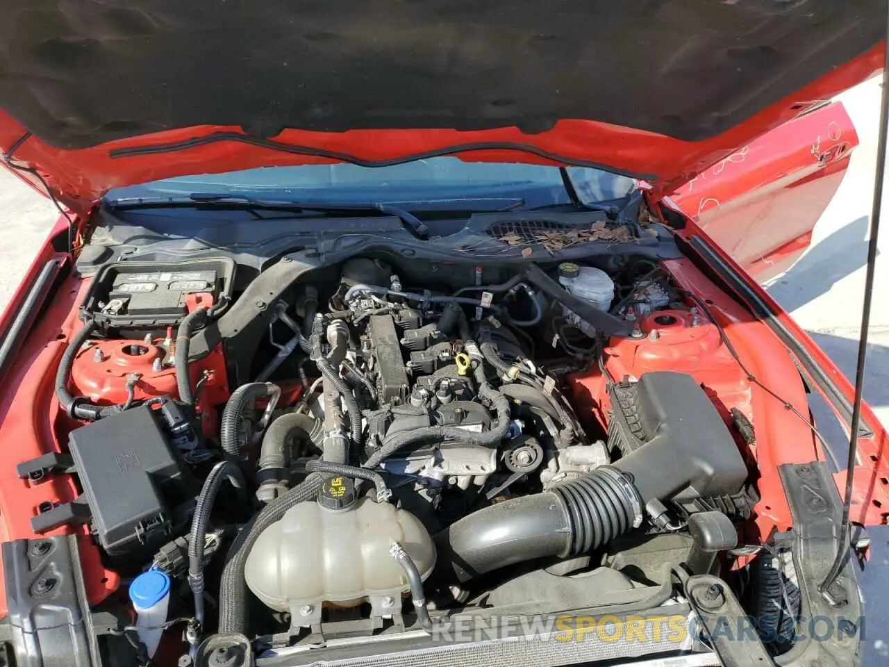 12 Фотография поврежденного автомобиля 1FATP8UHXM5121026 FORD ALL Models 2021