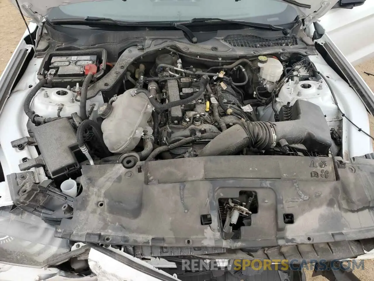 11 Фотография поврежденного автомобиля 1FA6P8TH8N5121896 FORD ALL Models 2022