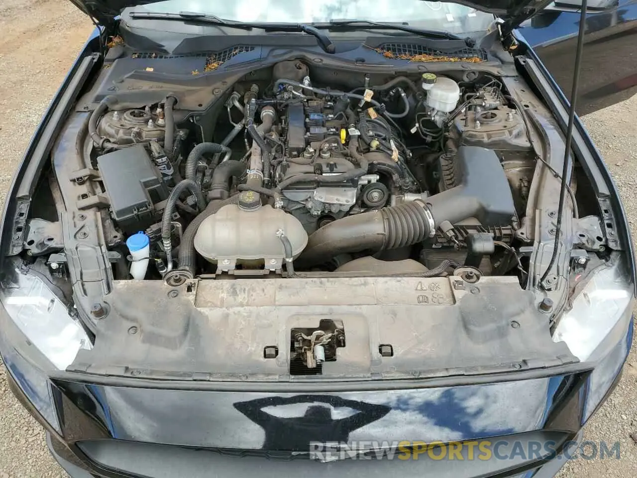 11 Фотография поврежденного автомобиля 1FA6P8TH8P5108844 FORD ALL Models 2023