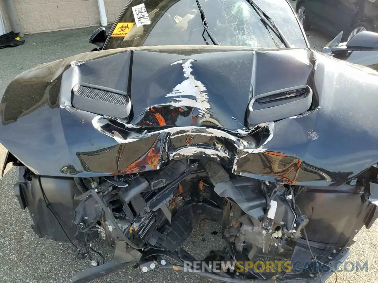 11 Photograph of a damaged car 1FATP8UH1P5102692 FORD ALL Models 2023