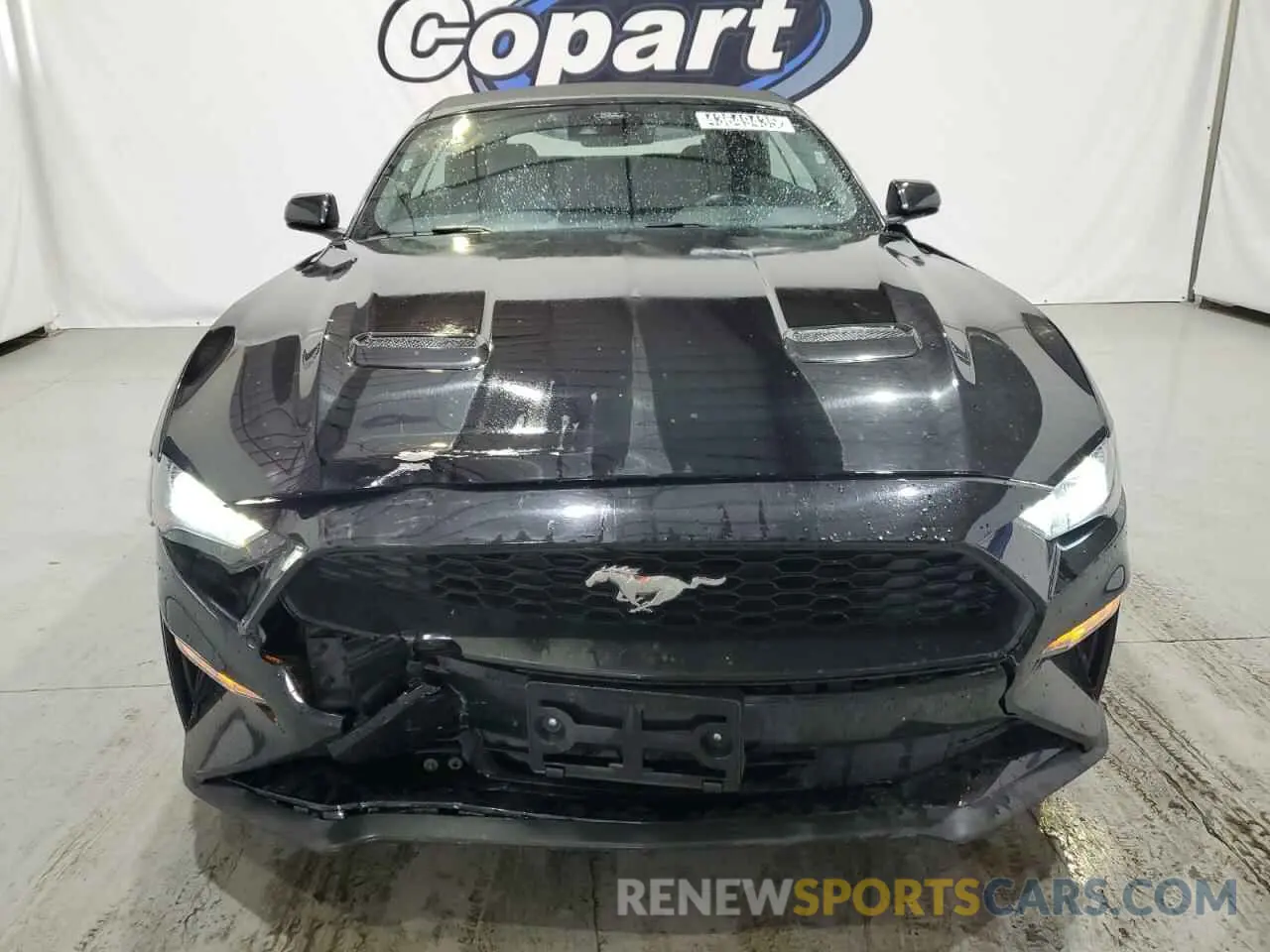 5 Photograph of a damaged car 1FATP8UH1P5109996 FORD ALL Models 2023