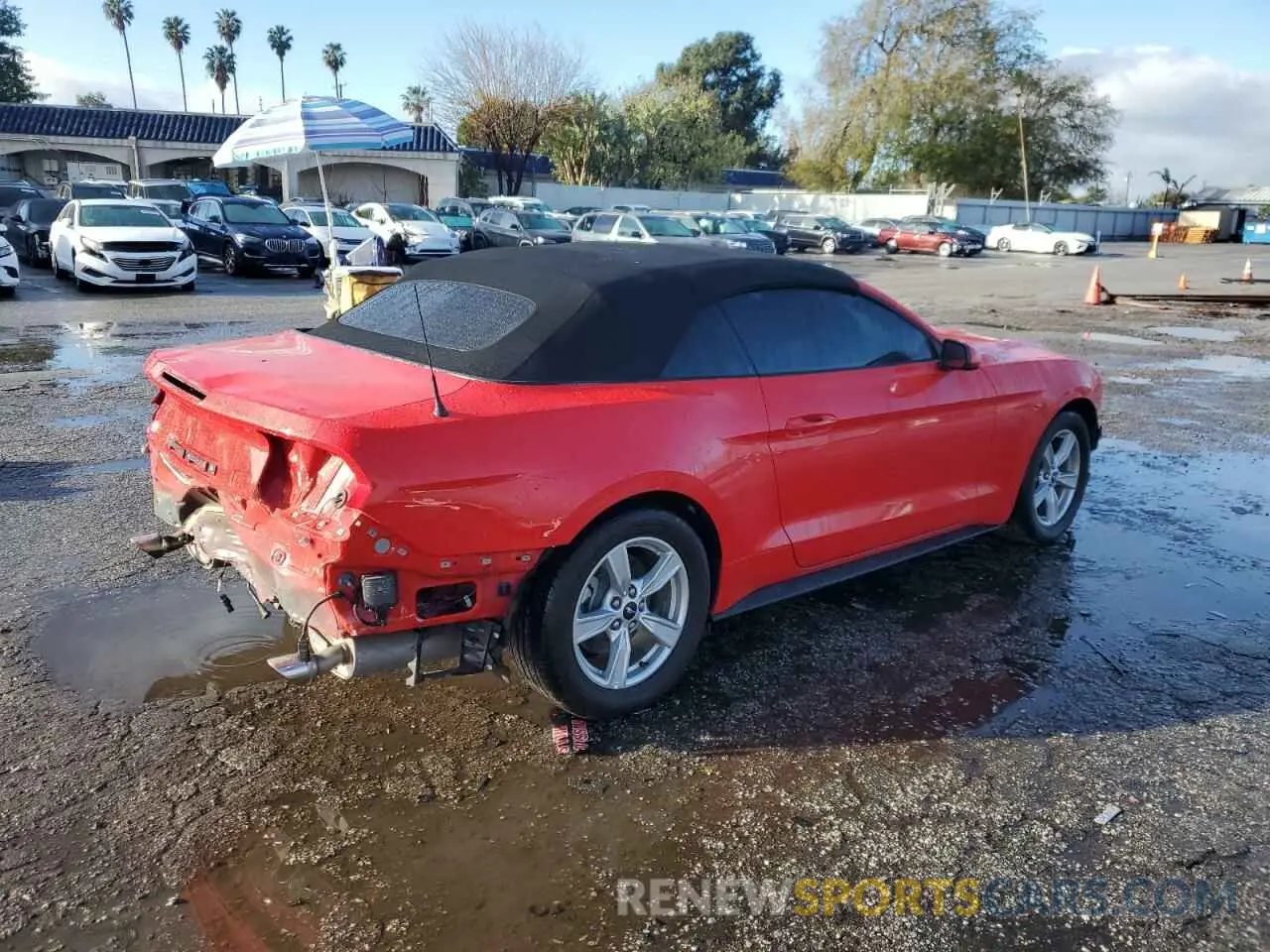 3 Photograph of a damaged car 1FATP8UH1P5111487 FORD ALL Models 2023