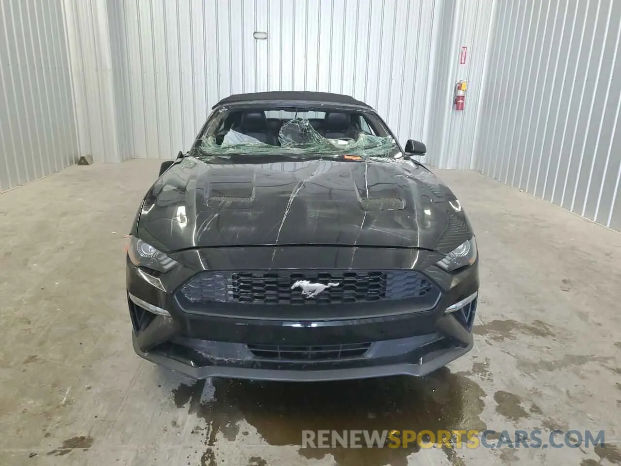 5 Photograph of a damaged car 1FATP8UH4P5109930 FORD ALL Models 2023