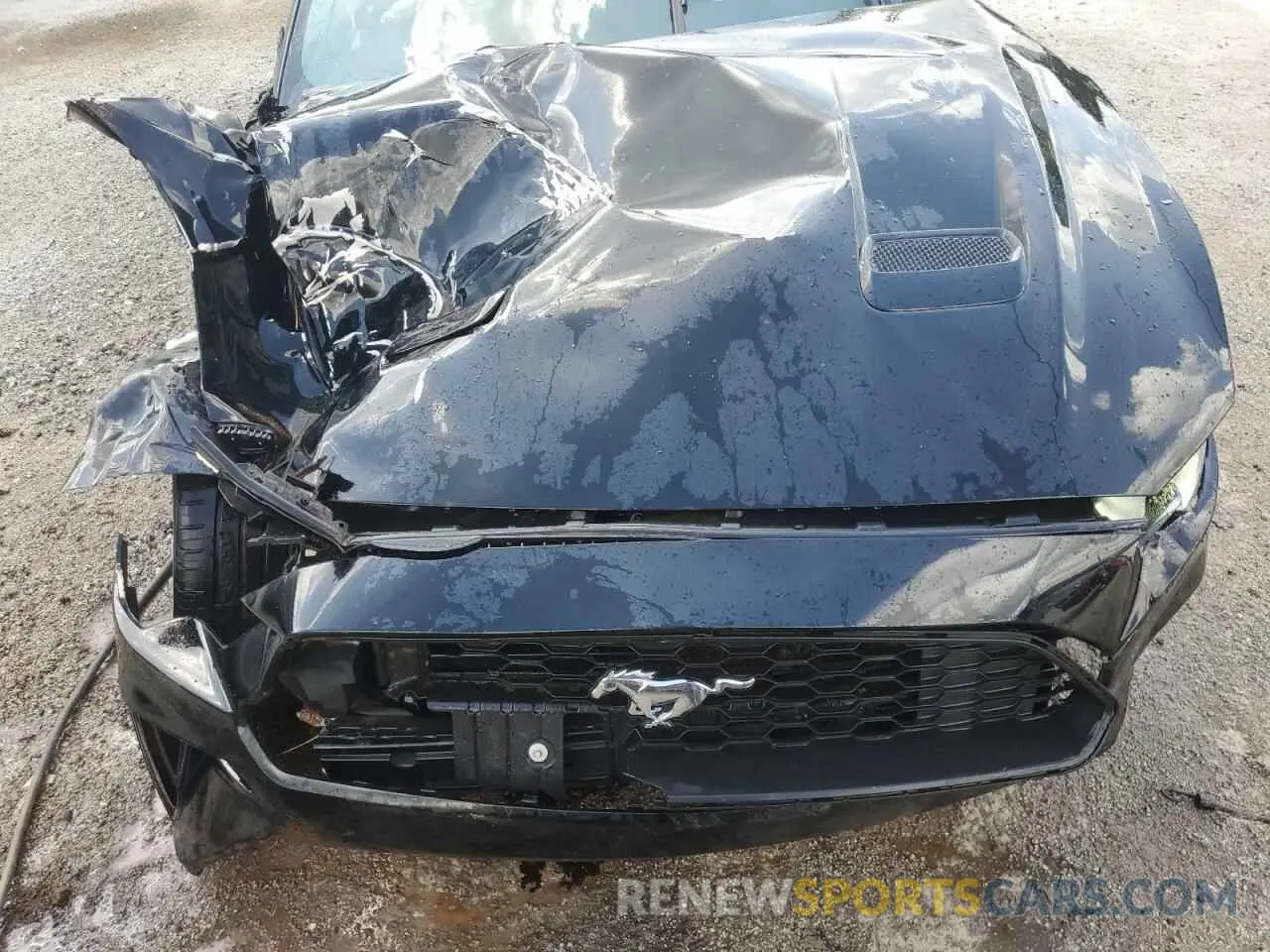 11 Photograph of a damaged car 1FATP8UH9P5103492 FORD ALL Models 2023