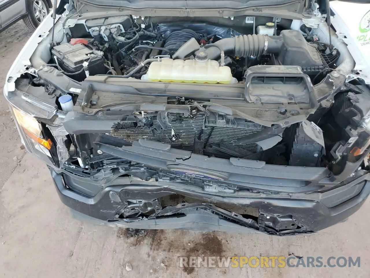 11 Фотография поврежденного автомобиля 1FTMF1C5XPKE35376 FORD All Models 2023