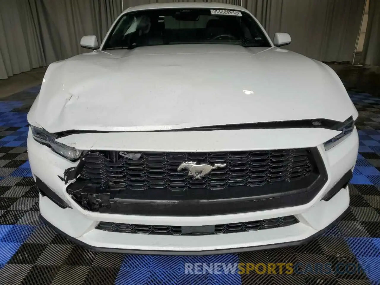 5 Фотография поврежденного автомобиля 1FA6P8TH3R5112996 FORD ALL Models 2024