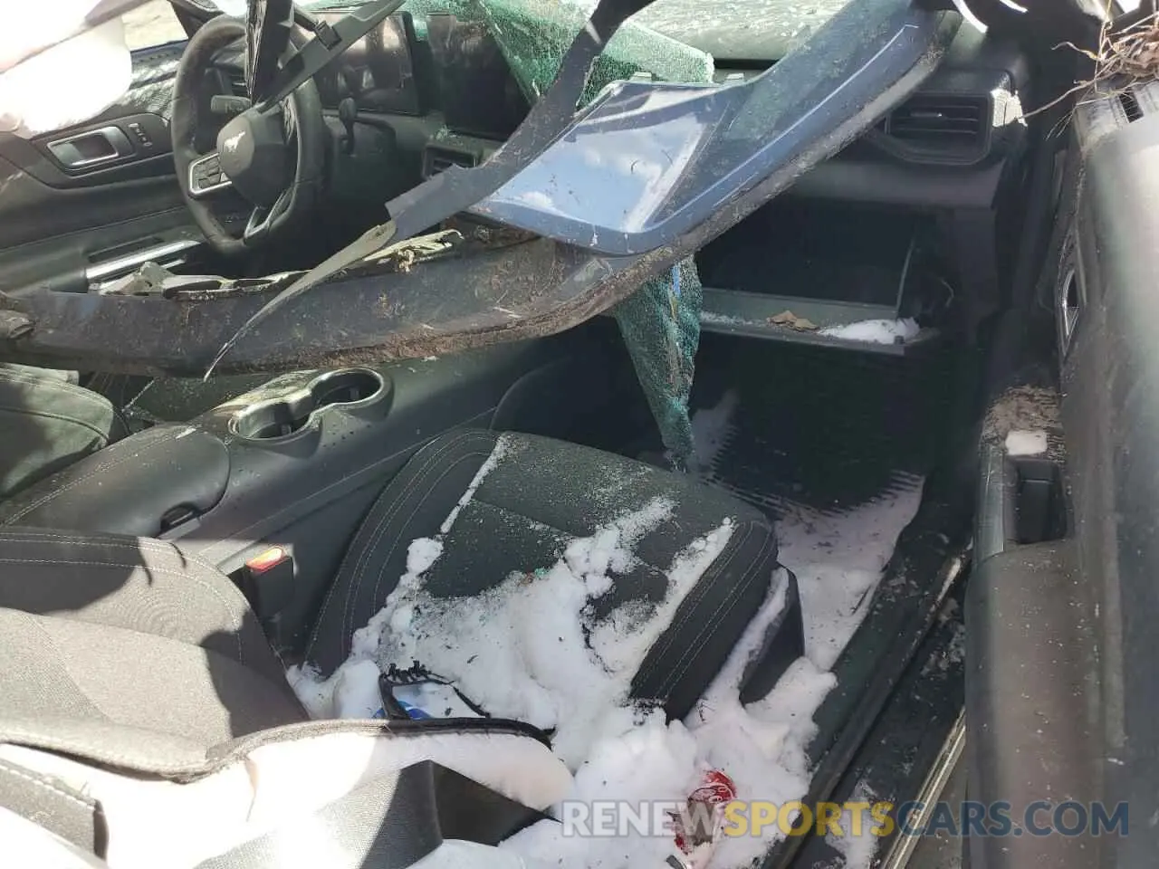 8 Фотография поврежденного автомобиля 1FA6P8TH6R5110367 FORD ALL Models 2024