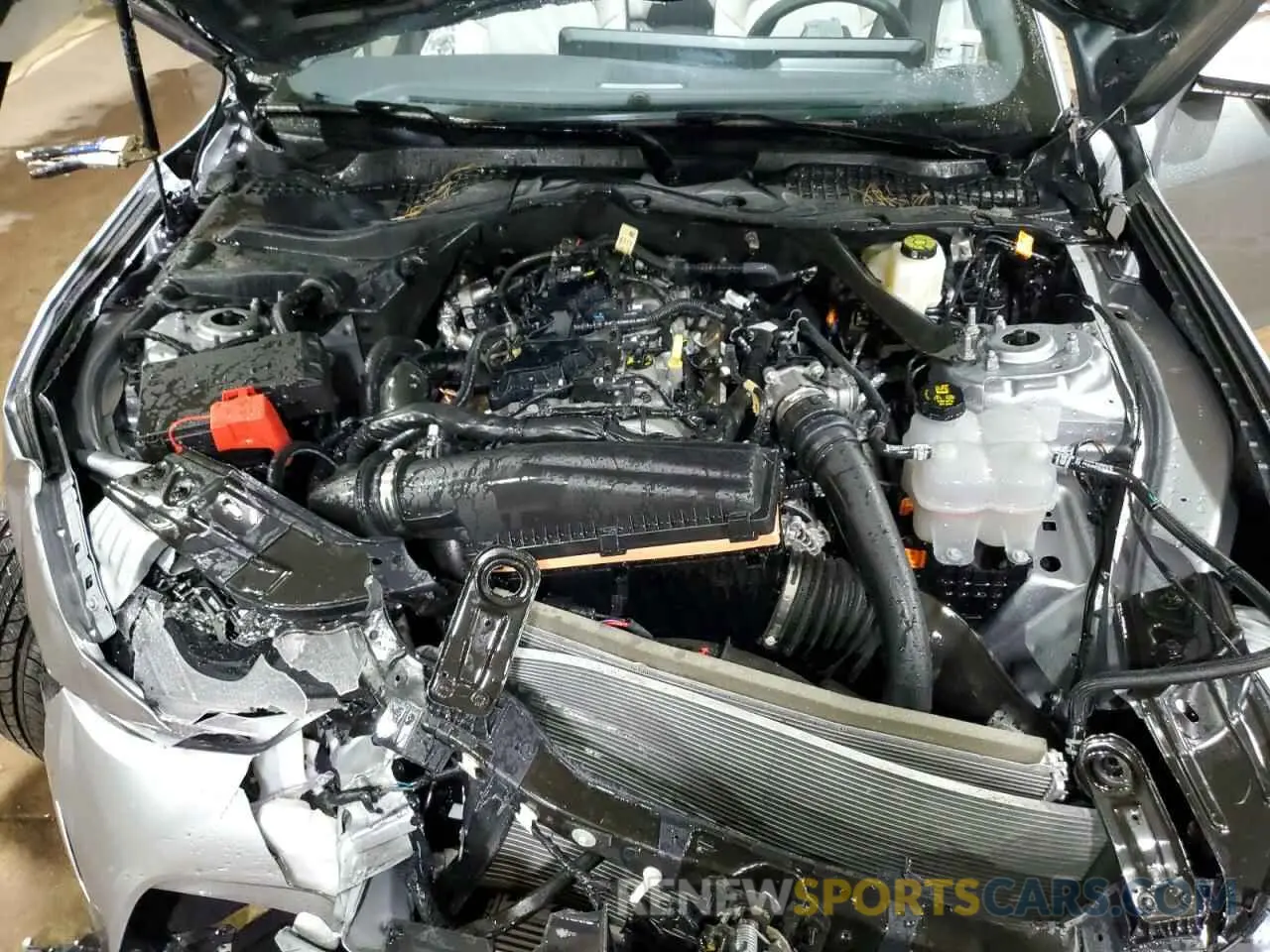 11 Photograph of a damaged car 1FAGP8UH4R5140969 FORD ALL Models 2024