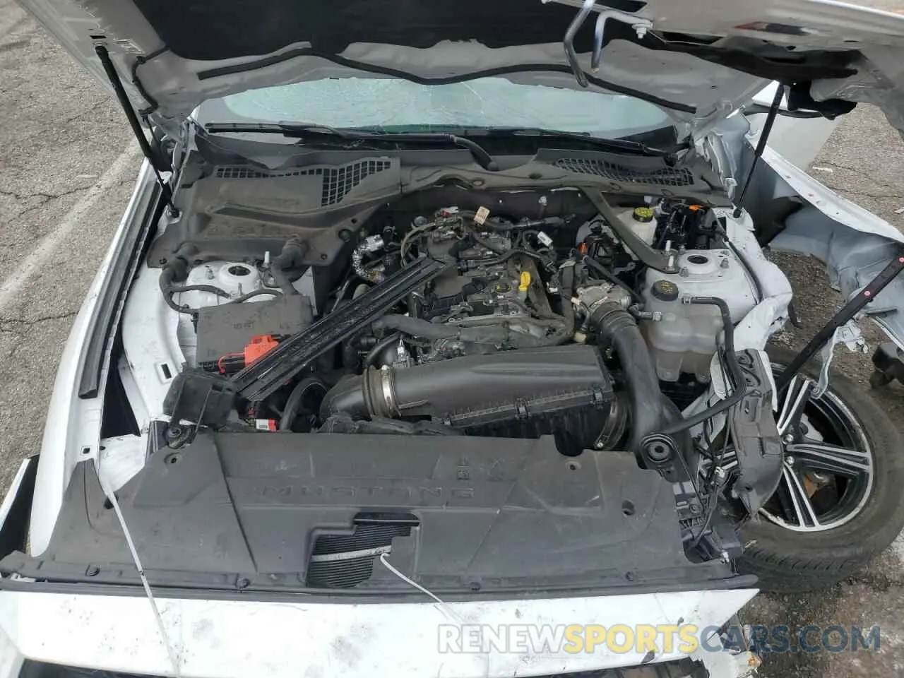 11 Photograph of a damaged car 1FAGP8UH5R5134002 FORD ALL Models 2024