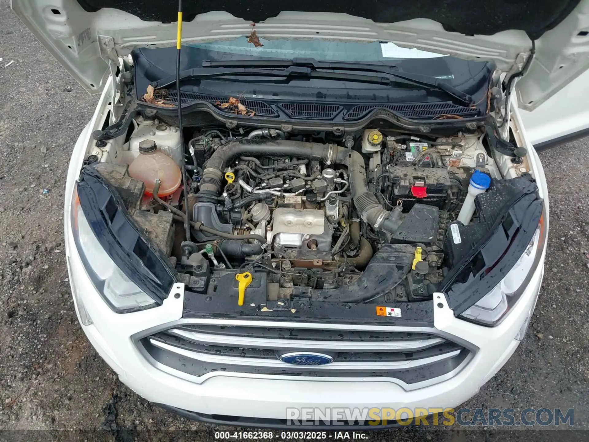 10 Фотография поврежденного автомобиля MAJ3S2GE5KC303920 FORD ECOSPORT 2019