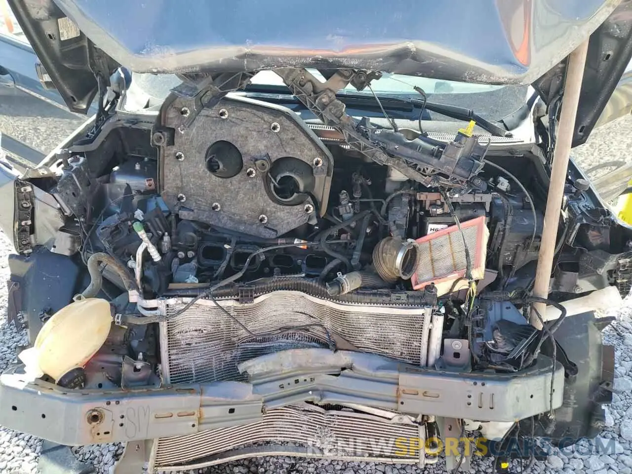 12 Фотография поврежденного автомобиля MAJ6S3GL5KC291348 FORD ECOSPORT 2019