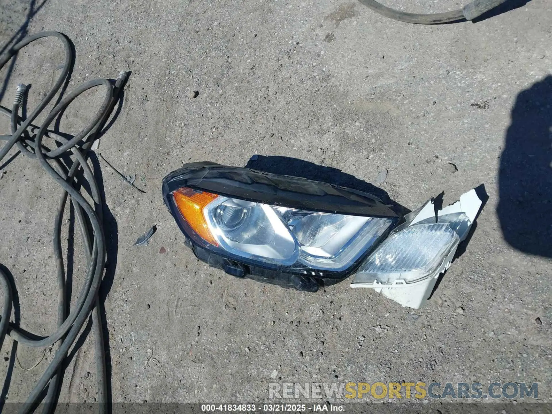 12 Photograph of a damaged car MAJ6S3GL7KC305931 FORD ECOSPORT 2019
