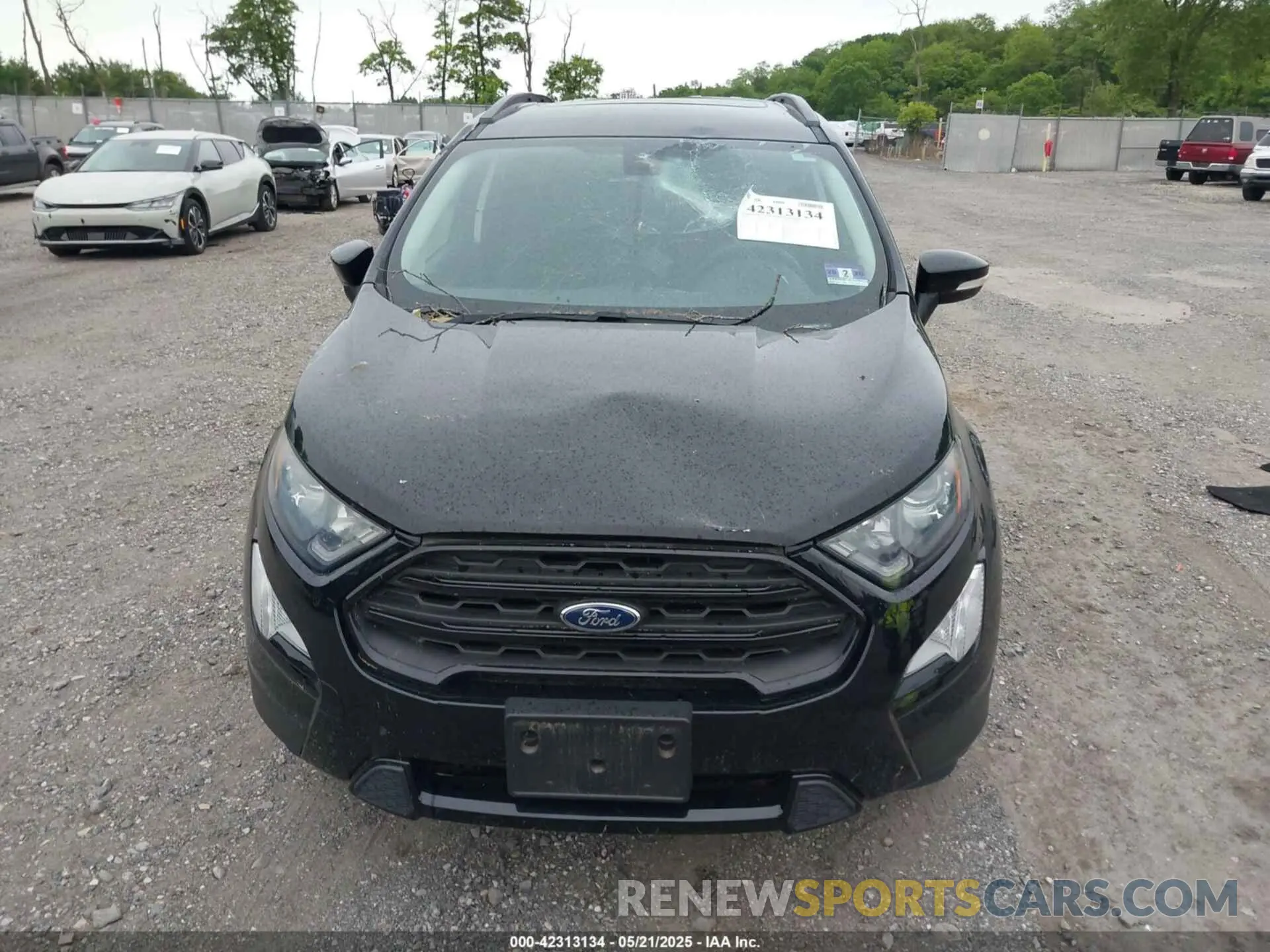 12 Фотография поврежденного автомобиля MAJ6S3JL8KC252584 FORD ECOSPORT 2019