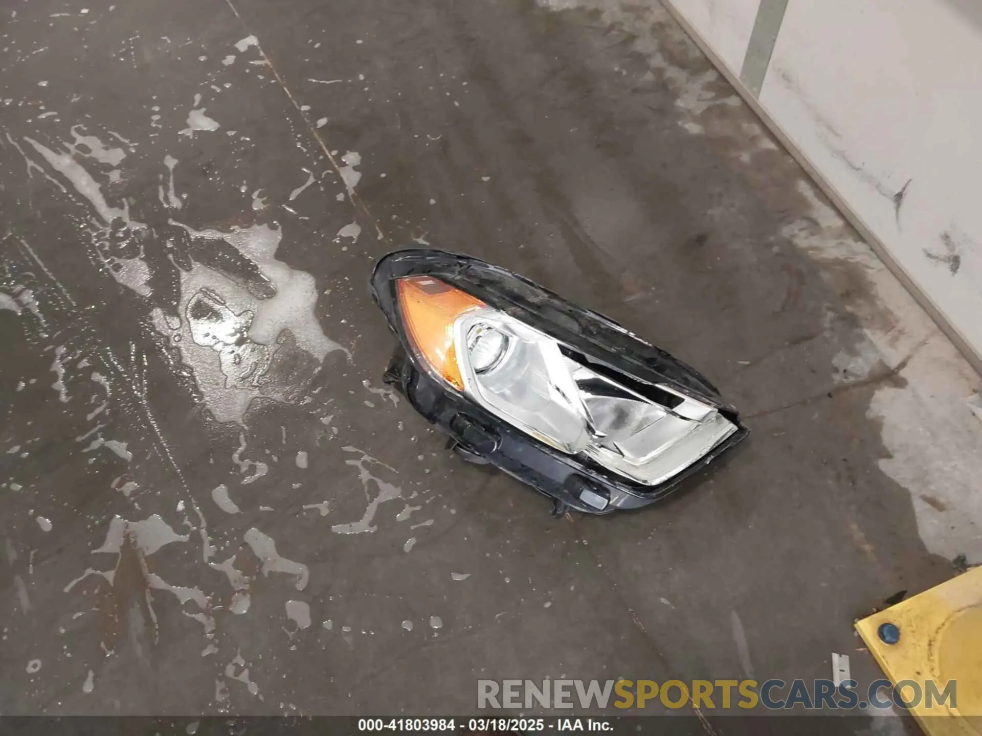 12 Фотография поврежденного автомобиля MAJ6S3KL0KC257860 FORD ECOSPORT 2019